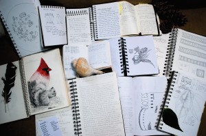 Some of my commonplace books