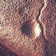 Cupule detail at Auditorium Cave at Bhimbetka, Madhya Pradesh, India  Dates from 290,000 - 700,000 BCE